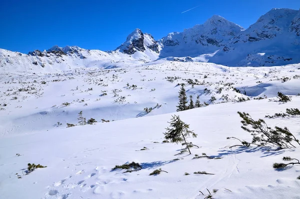 Winter View High Tatra Mountains Kasprowy Wierch Poland — Stock Photo, Image