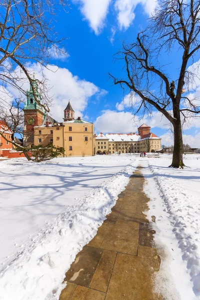 Βασιλικό Κάστρο Wawel Ηλιόλουστη Χειμερινή Ημέρα Χιόνι Στο Έδαφος Κρακοβία — Φωτογραφία Αρχείου