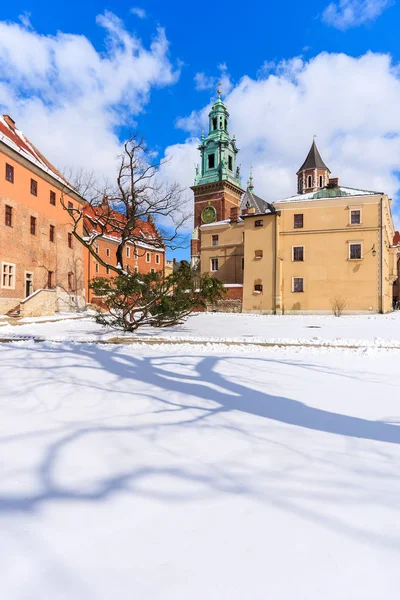 Βασιλικό Κάστρο Wawel Όμορφη Ηλιόλουστη Χειμωνιάτικη Ημέρα Κρακοβία Πολωνία — Φωτογραφία Αρχείου