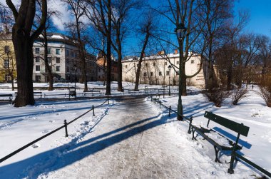 Kış city park kar güneşli gün, Krakow, Polonya