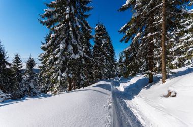 Yolda kar kış manzara Gorce dağlar, Polonya