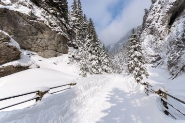 Kış iz Koscieliska Vadisi, Tatra Dağları, Polonya