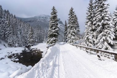 Kış iz Koscieliska Vadisi, Tatra Dağları, Polonya