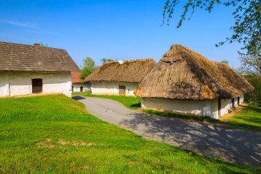 Bir köyde: Burgenland, Austria saman çatı geleneksel evleri