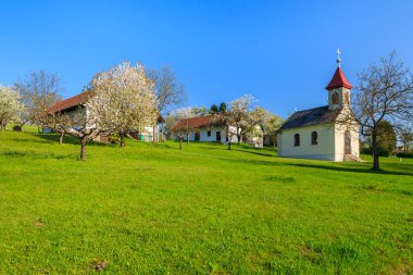 Kırsal manzara, Hamerlberg: Burgenland, Austria içinde yeşil alan üzerine inşa kilise ile tipik köy