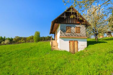 Kırsal manzara, Hamerlberg: Burgenland, Austria içinde yeşil alanda geleneksel şarap evi