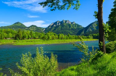 Dunajec Nehri bahar peyzaj Pieniny dağlar, Polonya