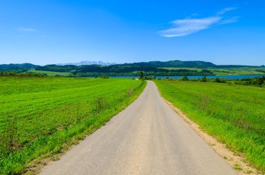 Yol bahar peyzaj Pieniny dağlar, Polonya
