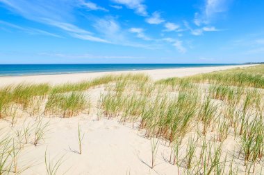 Dunes Leba, Polonya yakınındaki güzel Baltık Denizi plajında çimen