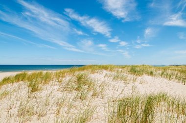 Dunes Leba, Polonya yakınındaki güzel Baltık Denizi plajında çimen