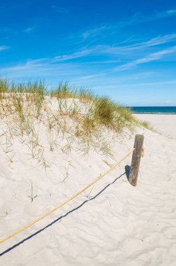 Ahşap direğe dune Beach Slowinski Milli Parkı, Polonya