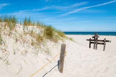 Ahşap direğe dune Beach Slowinski Milli Parkı, Polonya