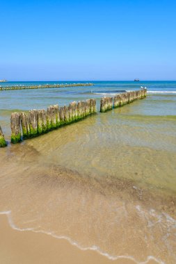 Ahşap dalgakıran plajda Ustka town, Baltık Denizi, Polonya