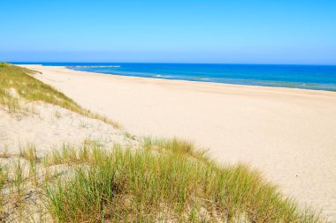Dunes Leba, Polonya yakınındaki güzel Baltık Denizi plajında çimen