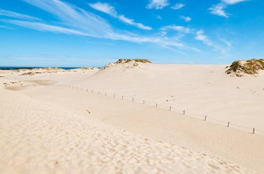 Slowinski Ulusal Parkı kum tepeleri görünümü, Polonya