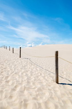 Ahşap direklerin üzerinde kumul Slowinski Milli Parkı, Polonya