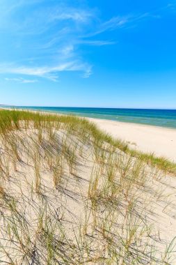 Dunes Leba, Polonya yakınındaki güzel Baltık Denizi plajında çimen
