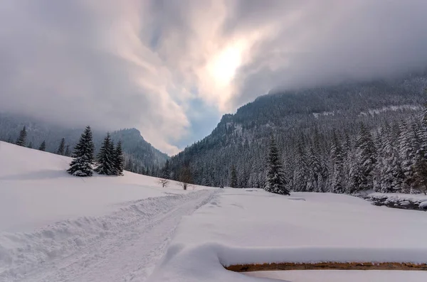 Téli Táj Nyomvonal Drámai Hófelhők Nap Koscieliska Völgy Tátra — Stock Fotó