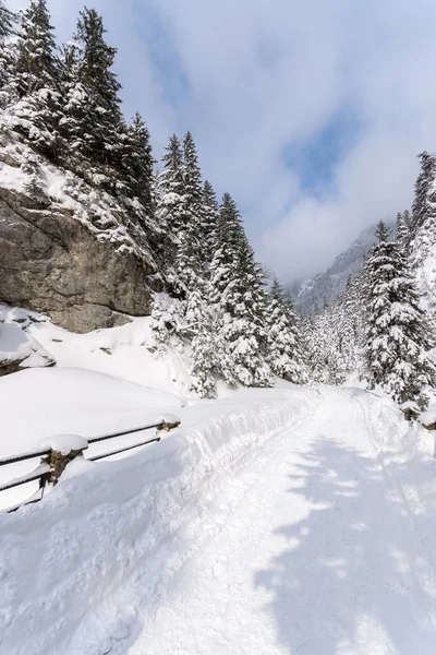 Winter Trail Koscieliska Valley Tatra Mountains Poland — Stock Photo, Image