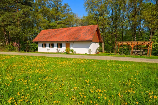 Παραδοσιακό Σπίτι Στο Πράσινο Πεδίο Τοπίο Υπαίθρου Την Άνοιξη Burgenland — Φωτογραφία Αρχείου