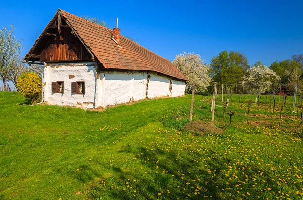 Traditional House Green Field Rural Spring Landscape Burgenland Austria — Stock Photo, Image