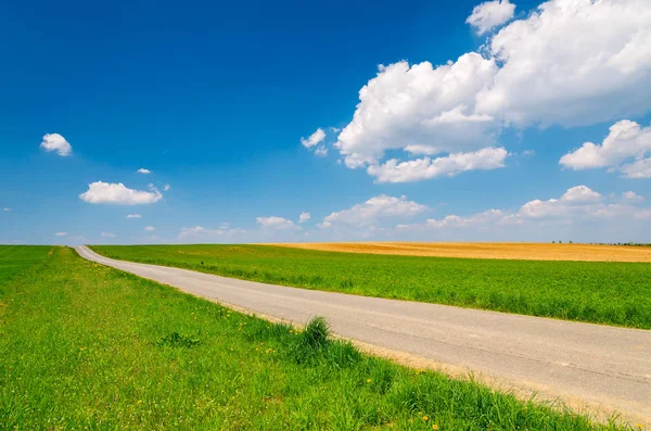 Countryside road in spring landscape of Burgenland, Austria