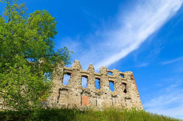 春には ポーランドの中世の Rabsztyn 城の遺跡 — ストック写真