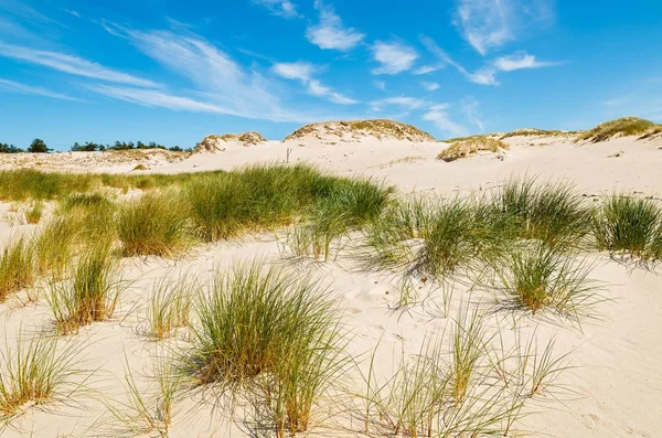 Hierba Duna Hermosa Playa Del Mar Báltico Cerca Leba Polonia — Foto de Stock