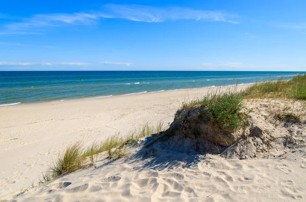 Gazon Sur Dune Sable Sur Belle Plage Mer Baltique Près — Photo