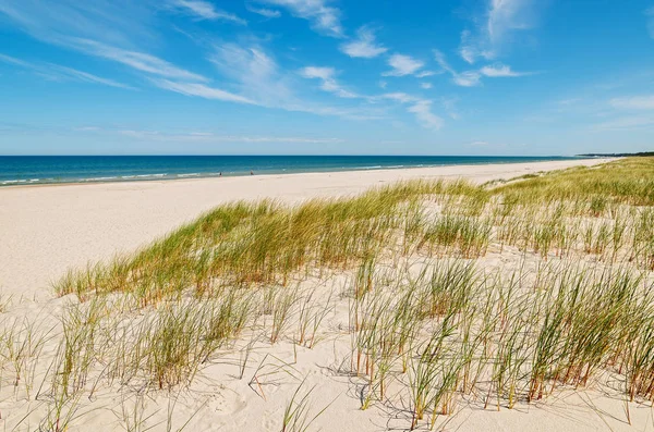 Hierba Las Dunas Hermosa Playa Del Mar Báltico Cerca Leba — Foto de Stock