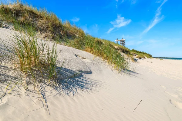 Græs Sand Klit Smuk Østersø Strand Nær Leba Polen - Stock-foto