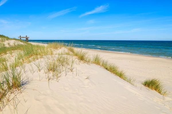 Γρασίδι Αμμοθίνες Στην Όμορφη Παραλία Της Βαλτικής Θάλασσας Κοντά Στο — Φωτογραφία Αρχείου