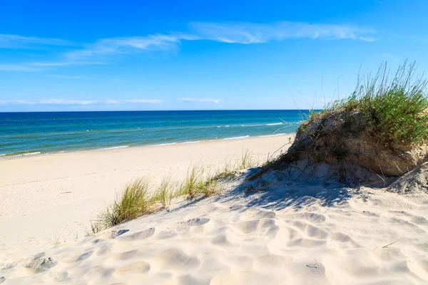 Γρασίδι Αμμοθίνες Στην Όμορφη Παραλία Της Βαλτικής Θάλασσας Κοντά Στο — Φωτογραφία Αρχείου