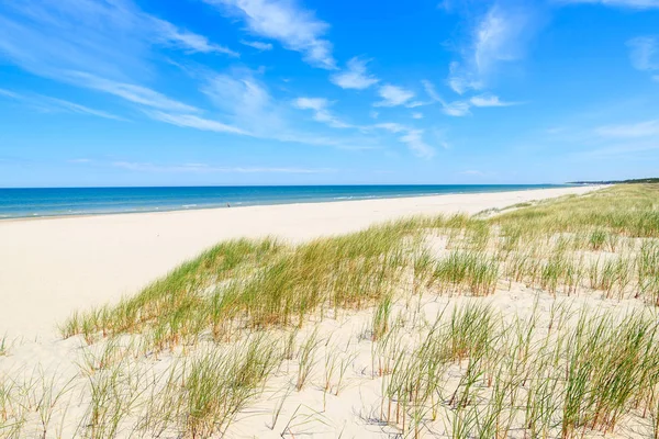 Herbe Sur Les Dunes Sur Belle Plage Mer Baltique Près — Photo