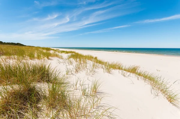 Trawa Wydmy Pięknej Plaży Nad Morzem Bałtyckim Pobliżu Leba Polska — Zdjęcie stockowe