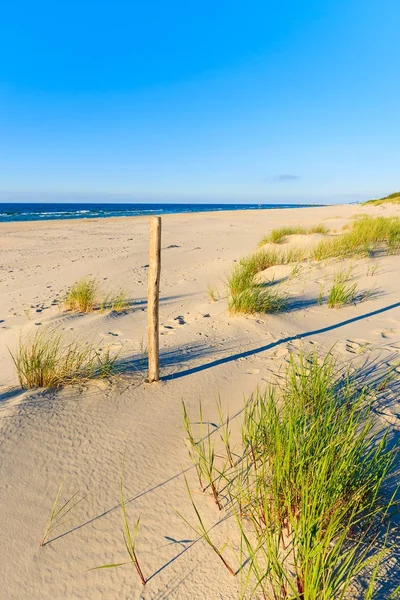 Holzstange Sandstrand Von Leba Ostsee Polen lizenzfreie Stockfotos