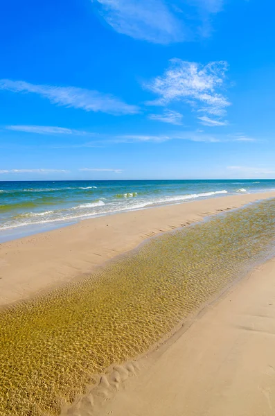 Krásná Písečná Pláž Blízkosti Łeba Baltské Moře Polsko Royalty Free Stock Obrázky