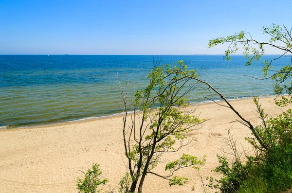 Pohled Pláž Útesu Pobřeží Moře Mezi Sopot Gdyní Baltské Moře Stock Obrázky