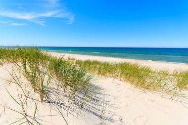 Dunes Leba, Polonya yakınındaki güzel Baltık Denizi plajında çimen
