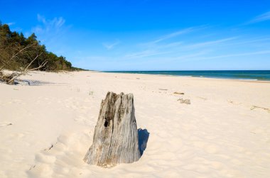 Güzel kumlu plajı yakınındaki Leba, Baltık Denizi, Polonya