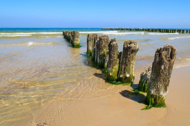Ahşap dalgakıran plajda Ustka town, Baltık Denizi, Polonya