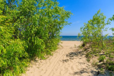 Sopot Town, Baltık Denizi, Polonya kumlu plaj yolu