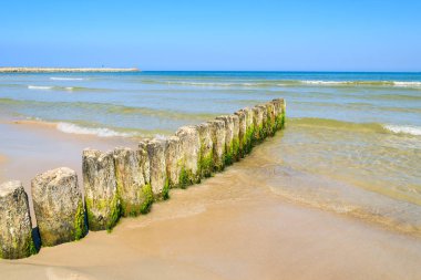 Ahşap dalgakıran plajda Ustka town, Baltık Denizi, Polonya