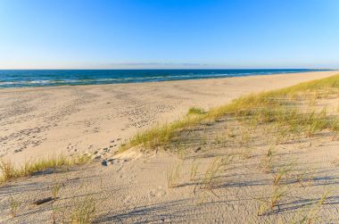 Yeşil bitkiler üzerinde kumul Leba Beach, Baltık Denizi, Polonya
