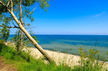 Sopot ve Gdynia, Baltık Denizi, Polonya arasındaki uçurum deniz kıyısında plaj görünümünü