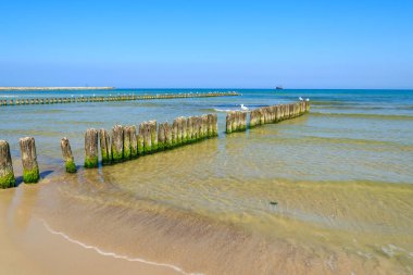 Ahşap dalgakıran plajda Ustka town, Baltık Denizi, Polonya