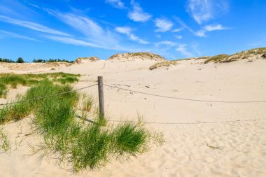 Leba, Polonya yakınındaki güzel Baltık Denizi plajında kabuklarıyla çimen
