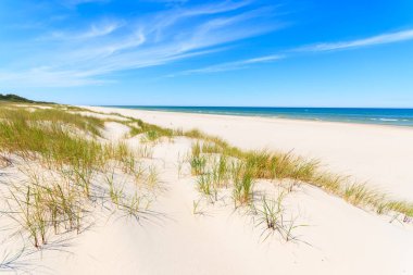 Dunes Leba, Polonya yakınındaki güzel Baltık Denizi plajında çimen