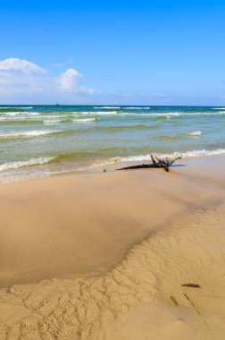 Ahşap gövdede Baltık Denizi sahil yakınında Leba, Polonya