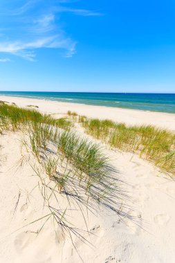 Dunes Leba, Polonya yakınındaki güzel Baltık Denizi plajında çimen